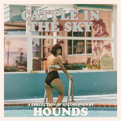 Cattle In The Sky