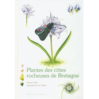 Plantes des côtes rocheuses de Bretagne