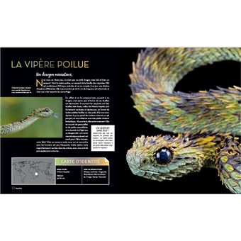 Bizarroïdes ! La vie secrète des animaux les plus étranges