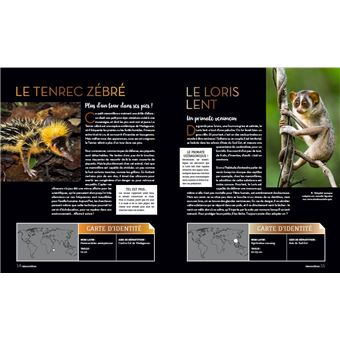 Bizarroïdes ! La vie secrète des animaux les plus étranges