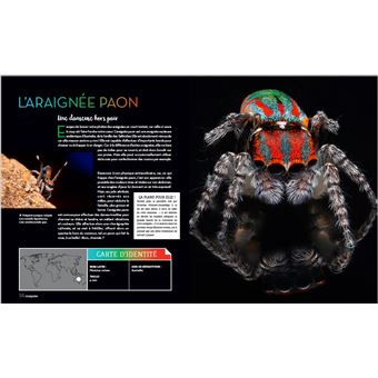 Bizarroïdes ! La vie secrète des animaux les plus étranges