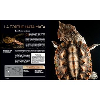 Bizarroïdes ! La vie secrète des animaux les plus étranges