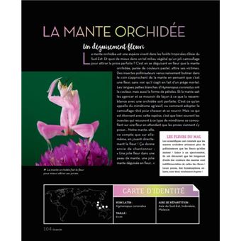 Bizarroïdes ! La vie secrète des animaux les plus étranges