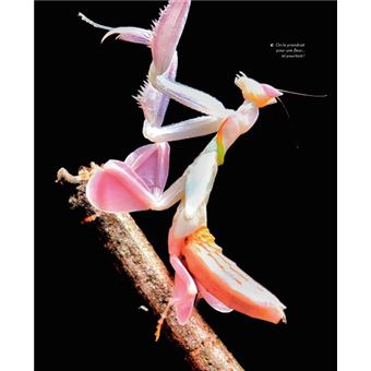 Bizarroïdes ! La vie secrète des animaux les plus étranges