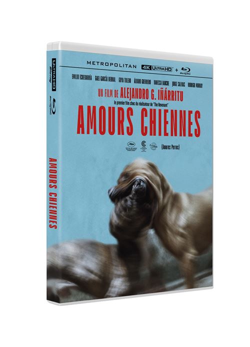 Amours chiennes en 4K Ultra HD