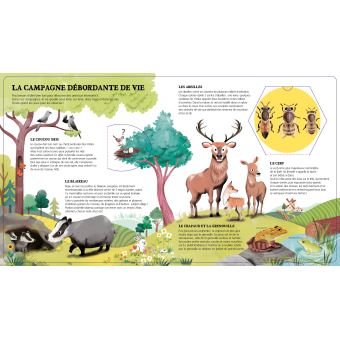 Bonjour les animaux ! - L'encyclo des petiots