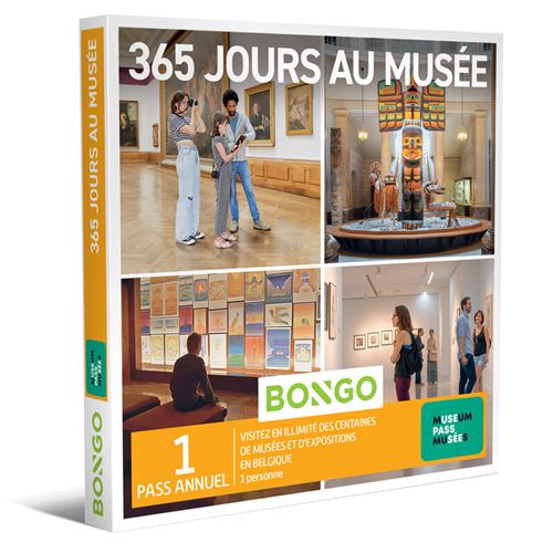 Bongo 365 jours de Musée