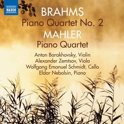 Quatuor avec piano n 2 op 26/quatuor avec piano en la mineur