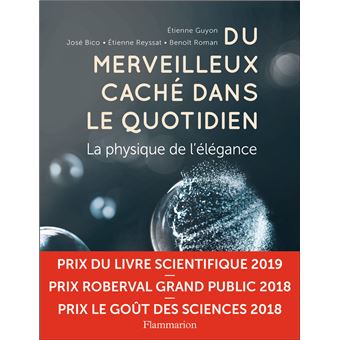 du merveilleux caché dans le quotidien du merveilleux caché dans le quotidien