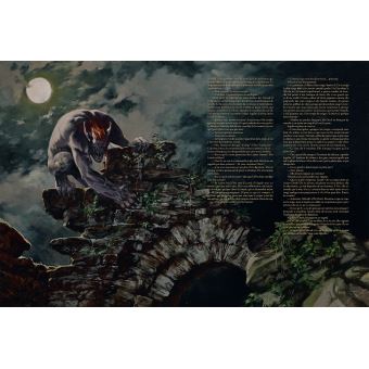 L'Univers du Sorceleur (Witcher) : The Witcher illustré : Le Sorceleur
