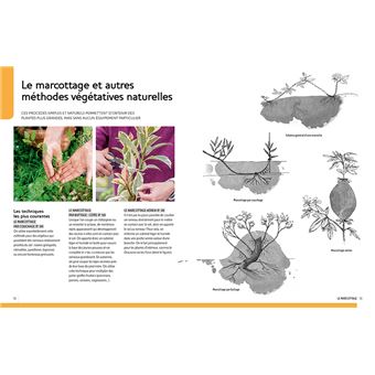Multiplier toutes les plantes - Semis, bouturage, greffe, marcottage, division