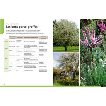 Multiplier toutes les plantes - Semis, bouturage, greffe, marcottage, division