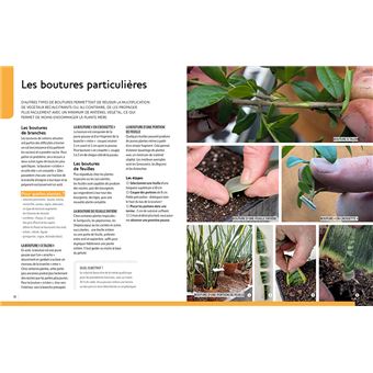 Multiplier toutes les plantes - Semis, bouturage, greffe, marcottage, division