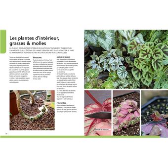 Multiplier toutes les plantes - Semis, bouturage, greffe, marcottage, division
