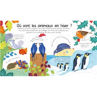 Où vont les animaux en hiver ? - Mes premières questions