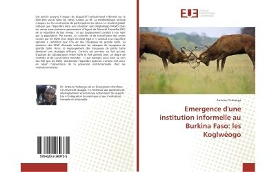 Emergence d'une institution informelle au burkina faso: les