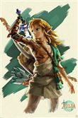 Poster The Legend Of Zelda Tears Of The Kingdom Link