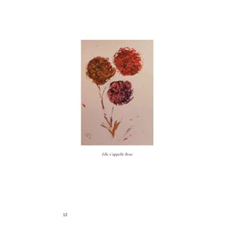Le fabuleux destin de Rose Reza