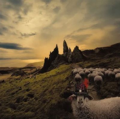 Sheeple