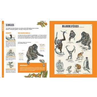 Mon grand livre d'animaux - La Zoologie par Deyrolle