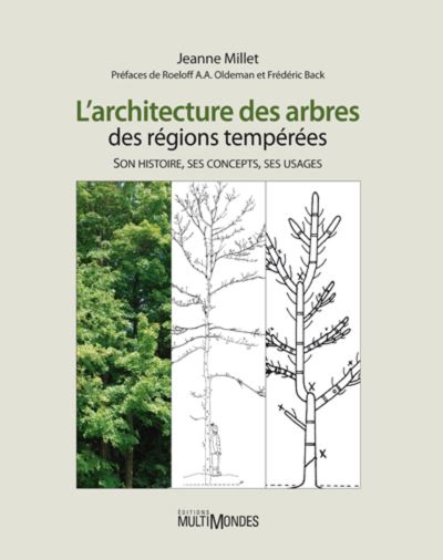 L architecture des arbres des regions temperees - version brochee