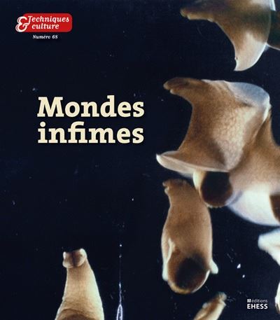 Mondes infimes
