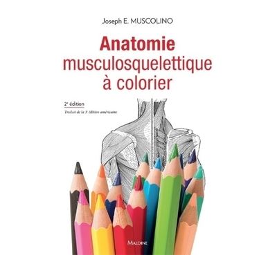 Anatomie musculosquelettique à colorier