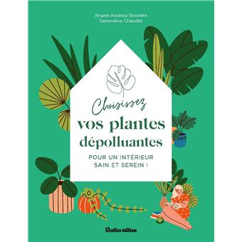 Choisissez vos plantes dépolluantes pour un intérieur sain et serein