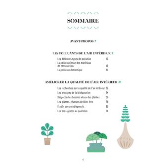 Choisissez vos plantes dépolluantes pour un intérieur sain et serein