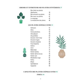 Choisissez vos plantes dépolluantes pour un intérieur sain et serein