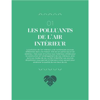 Choisissez vos plantes dépolluantes pour un intérieur sain et serein