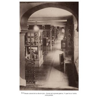 L'Afrique noire en vitrines