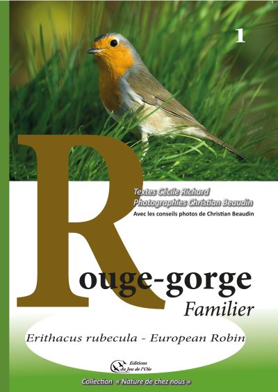 Rouge-gorge familier