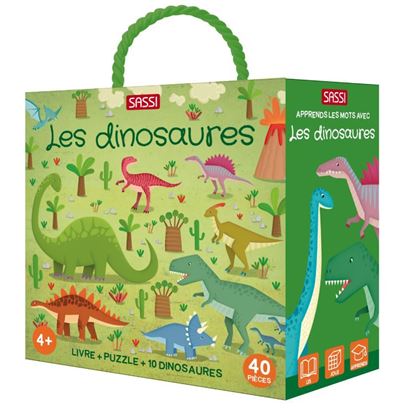 Q-box, les dinosaures - Matteo Gaule - Boîte ou accessoire