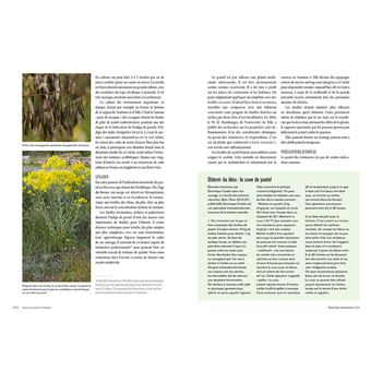 Le chemin des herbes - Du Midi à l'Atlantique : identifier et utiliser 80 plantes sauvages médicinal