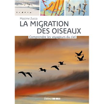 La migration des oiseaux