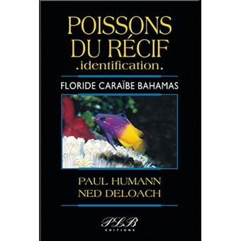 Poissons du récif, identification