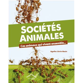 Sociétés animales