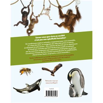 Sociétés animales