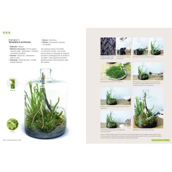 Terrariums déco et mini-jardins de verre - botanic®