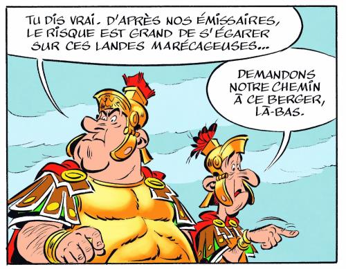 Asterix Chez Les Pictes - N35: Version Luxe (French Edition):  9782864972686: Urdezo, Albert, Ferri, Jean-yves: Books 