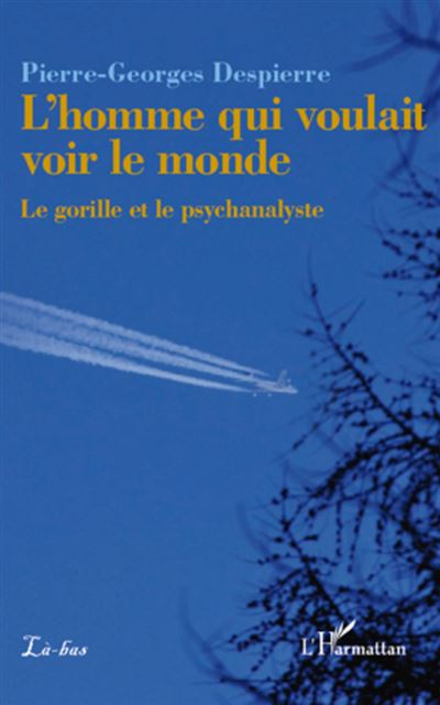 L'homme qui voulait voir le monde
