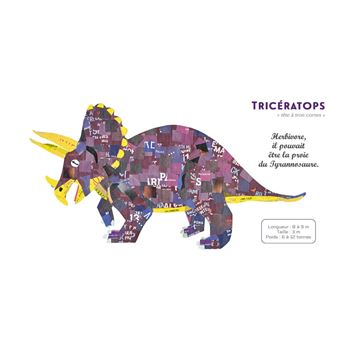Dinosaures