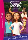 Spirit 25 - Le fantôme d'Halloween