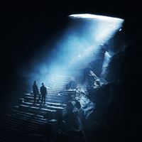 ALPHA Édition Nuit
