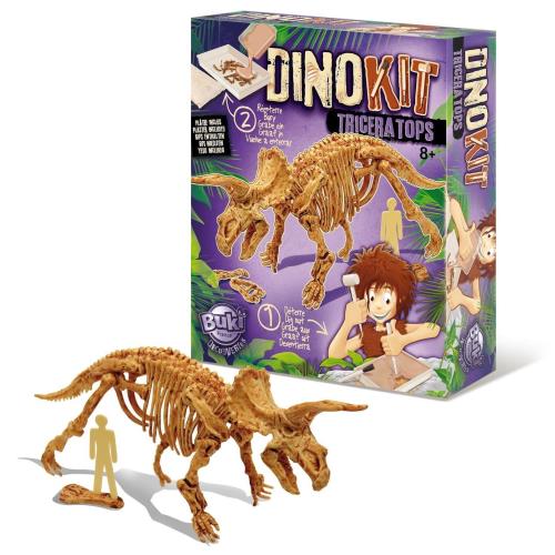 Dino Kit Tricératops Buki