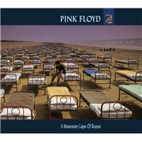 A Momentary Lapse Of Reason - CD