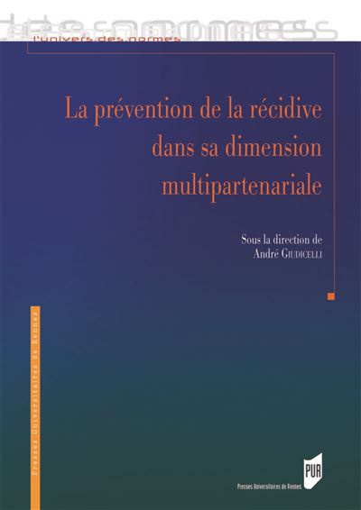 La prévention de la récidive dans sa dimension multi-partenariale - André Giudicelli - broché