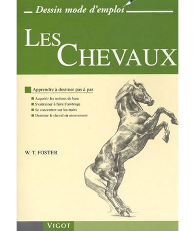Les chevaux dessin mode d emploi