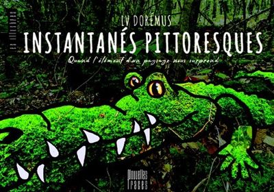 Instantanés Pittoresques - LV Doremus - broché